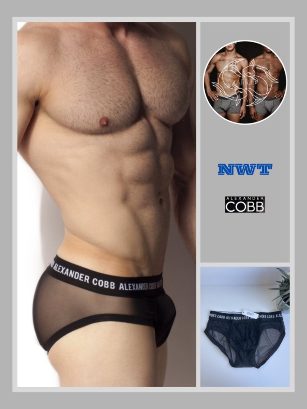 Alexander Cobb - Transparent Slip Brief - Black (S)